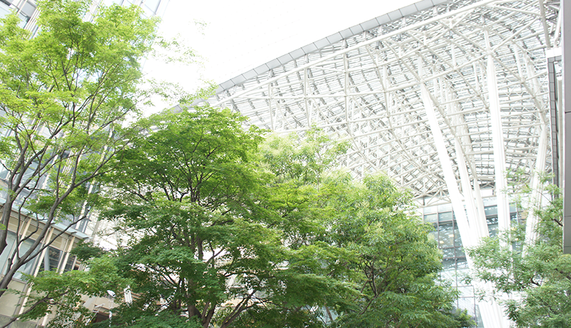 尊龙凯时人生就是博官网登录 お題の折り紙を、目隠しした仲間に、口頭で折り方を伝えることで完成させてもらいます